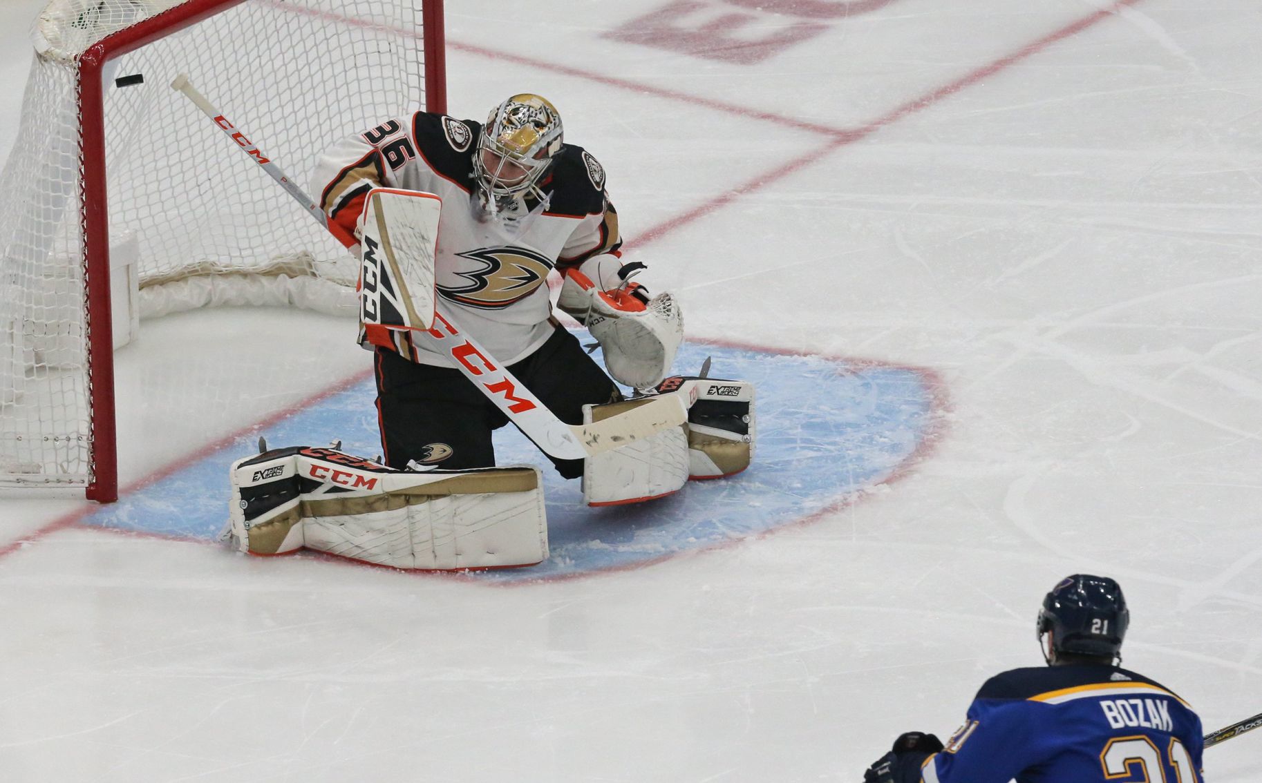 The Blues take on the Ducks at the Enterprise Center